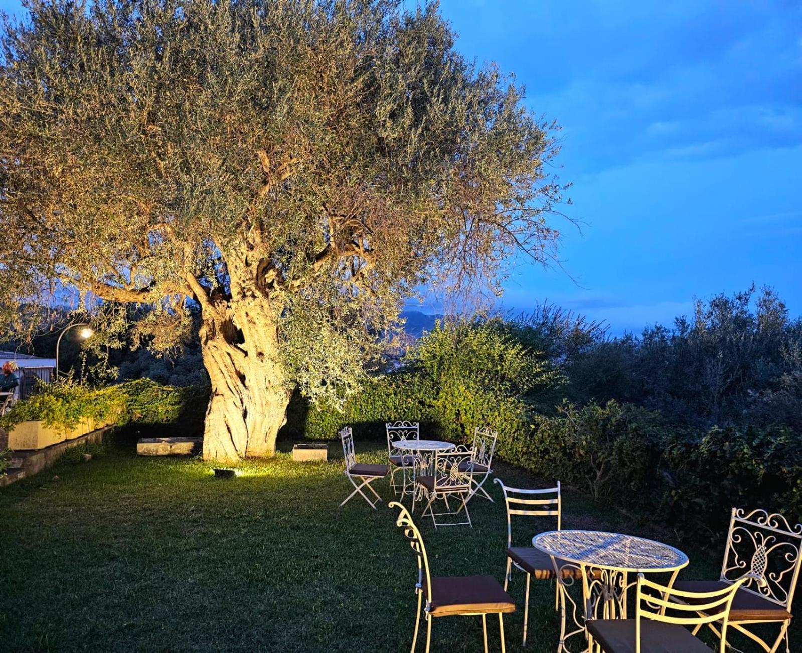Antico Borgo Etneo Country Hotel Calatabiano Exteriör bild