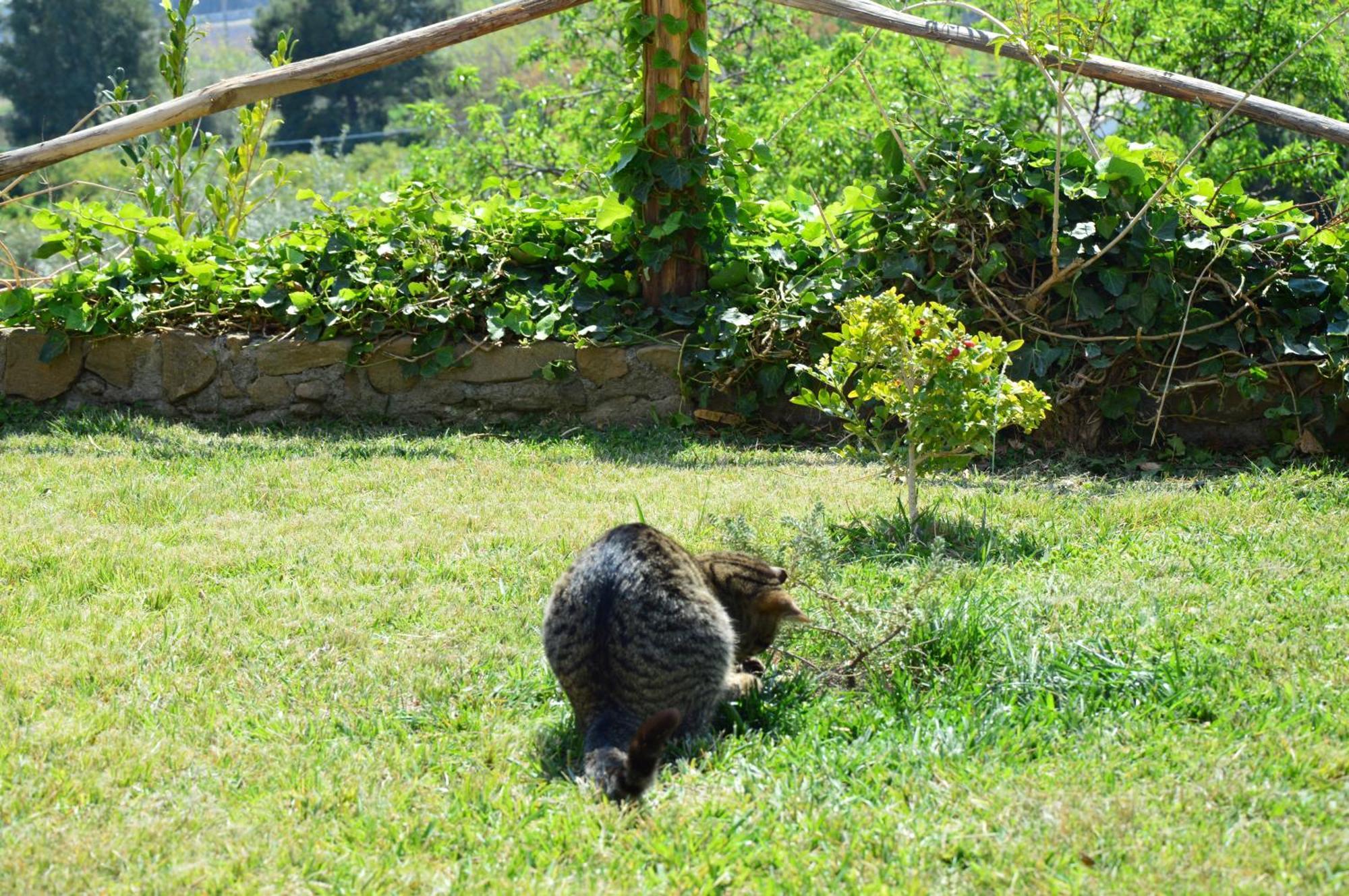 Antico Borgo Etneo Country Hotel Calatabiano Exteriör bild